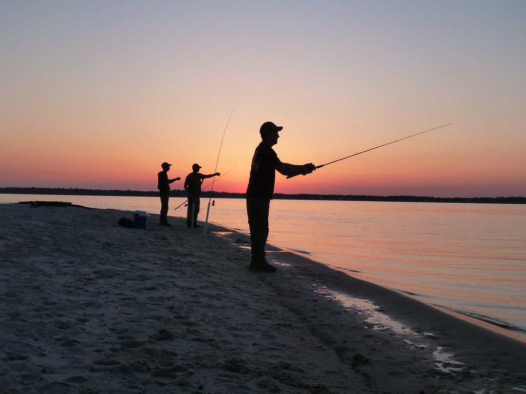 appâts pour pêcher la carpe